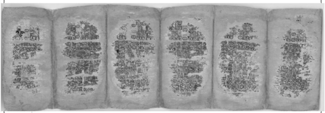 <p>maya codex </p>
