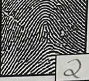 <p>What type of finger print is this?</p>