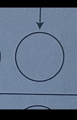 <p>phase, cycle, rises at, sets at</p>