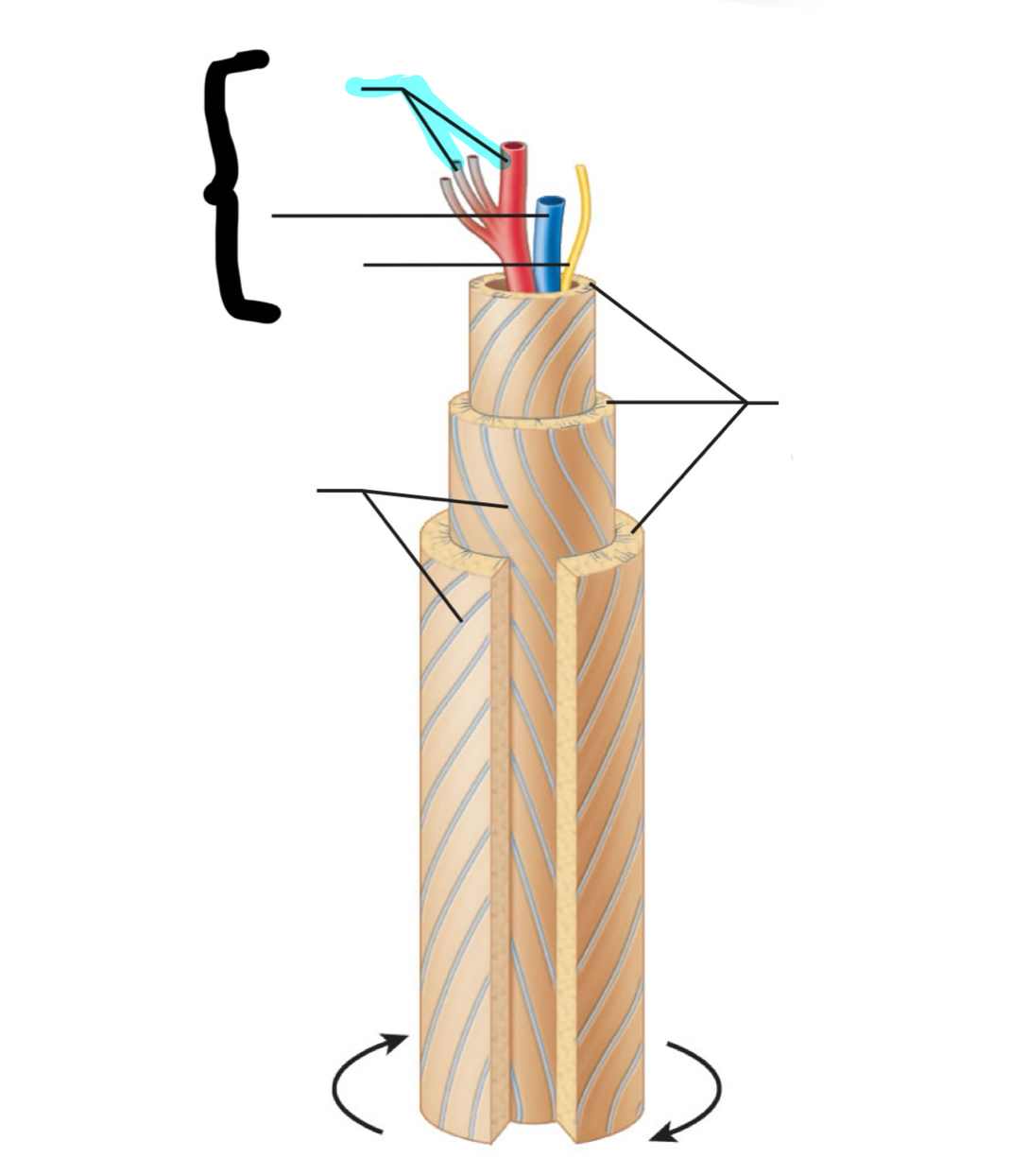 term image