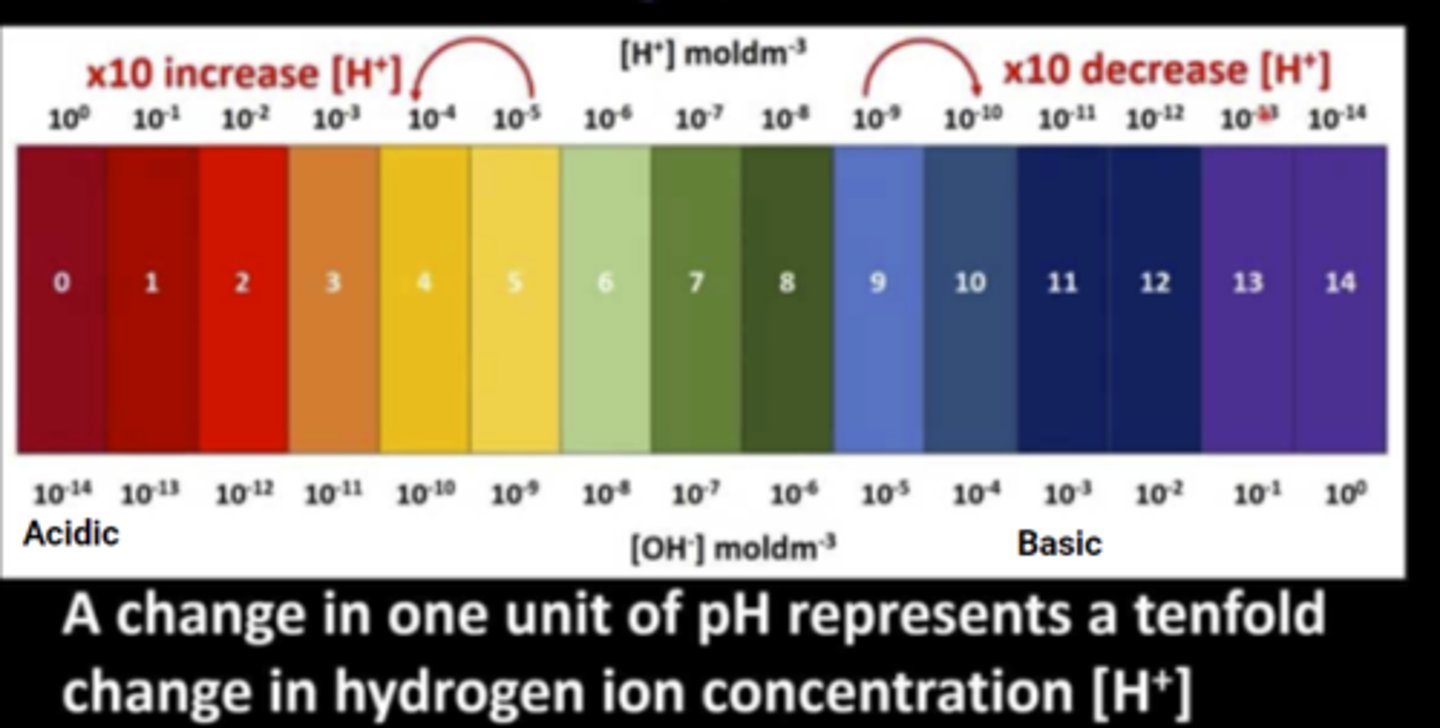 <p>Why does it make sense that as you get lower on the pH scale the more acidic the solution is?</p>