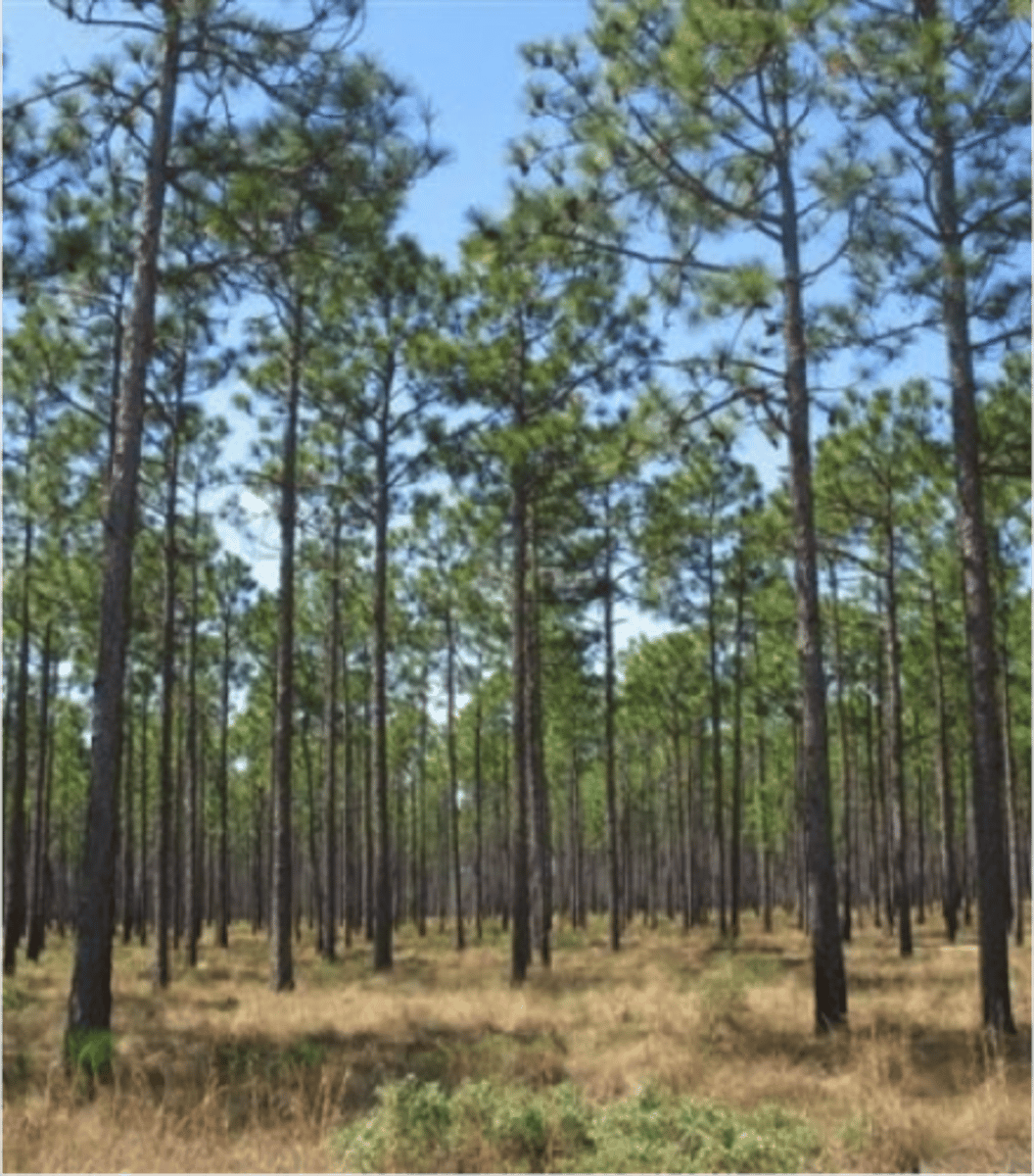 <p>characteristic of environments:</p><p>- growing season is very short (due to higher latitudes)</p><p>- nutrient availability severely constrains photosynthesis and plant growth</p>