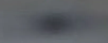 <p>Black dot on license plate</p>