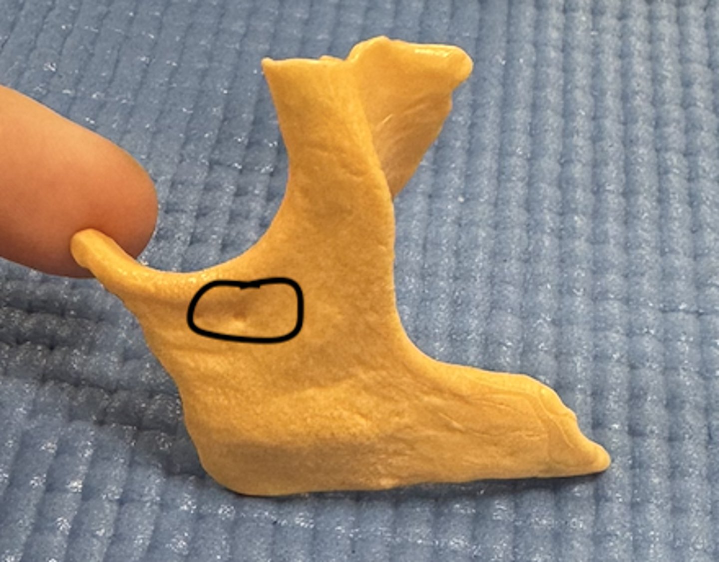 knowt flashcard image