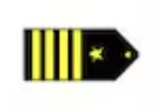 <p>Four gold 1/2-inch stripes outboard a gold five pointed star (O6)</p>
