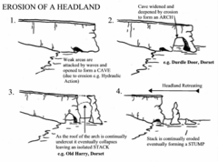 <ol><li><p>The headland is eroded by the force of the waves 2. This creates a fault in the rock 3. This forms a cave 3. is eroded through, arch 4. Arch head falls, stack 4. Stack is undercut, stump</p></li></ol>