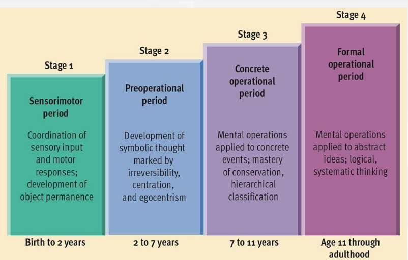 <p>children gain mental operations that enable them to think logically about concrete events, mastery of conservation 7-11 years</p>