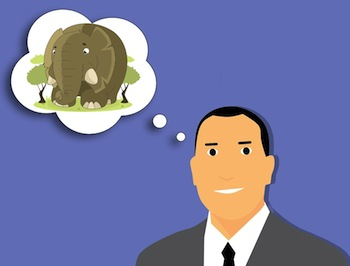 <p><span><strong><span>Epiphenomenon</span></strong></span></p>