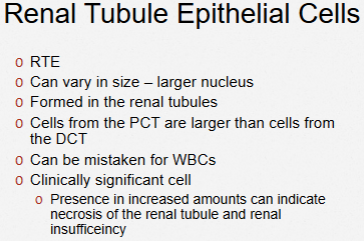 <p>RTE - Renal Tubular Epithelial — (renal tubule issues)</p>