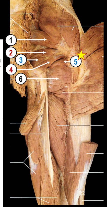 <p>5</p>