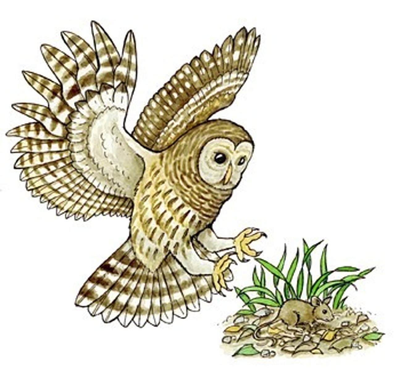 <p>an animal hunted by another animal — zdobycz</p>