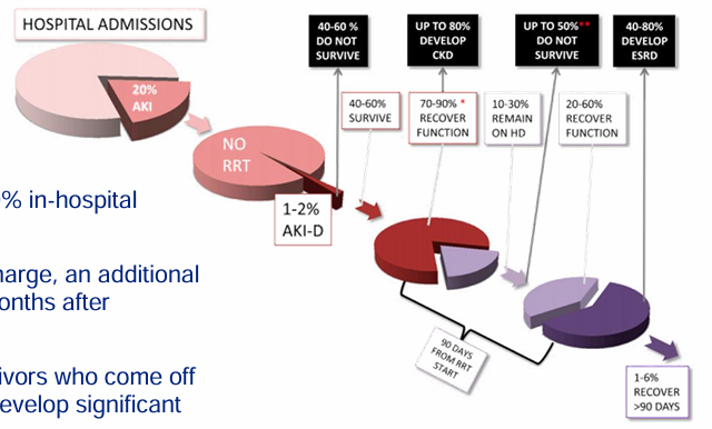 <p>-AKI is common</p><p>-severe AKI has ~50% in-hospital mortality</p><p>-of survivors to discharge, an additional 50% mortality in 3 months after discharge</p><p>-majority of survivors who come off of dialysis go on to develop significant CKD or ESRD</p>