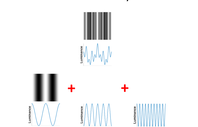 <p>Fourier analysis </p>