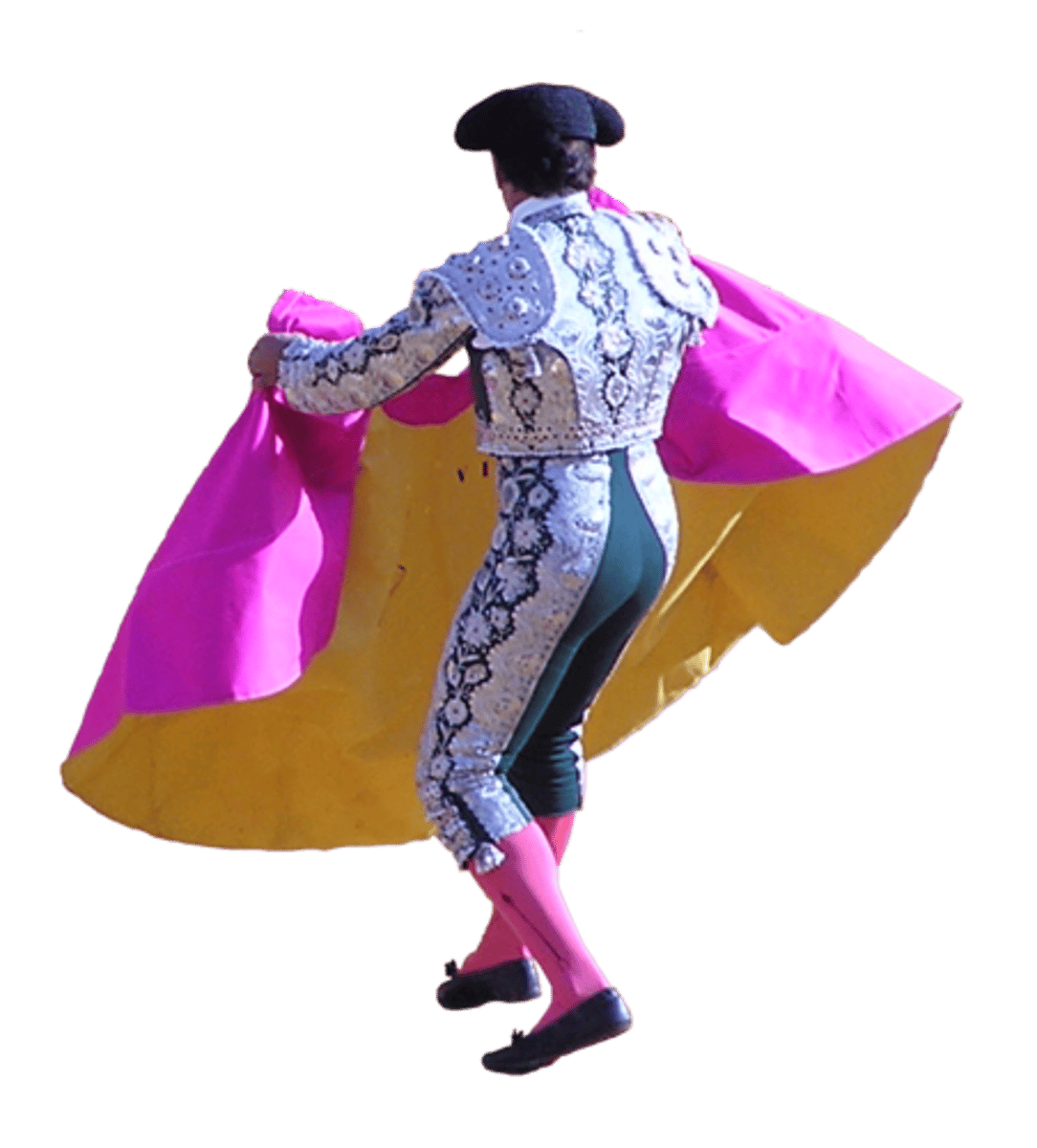 <p>bullfighter</p>