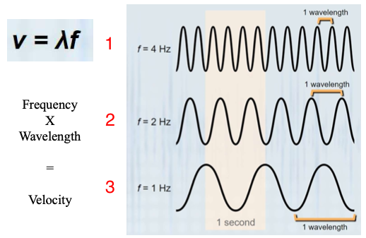 <p>What kind of sound is coming from each of these numbers and give an example for each of an animal that makes them.</p>