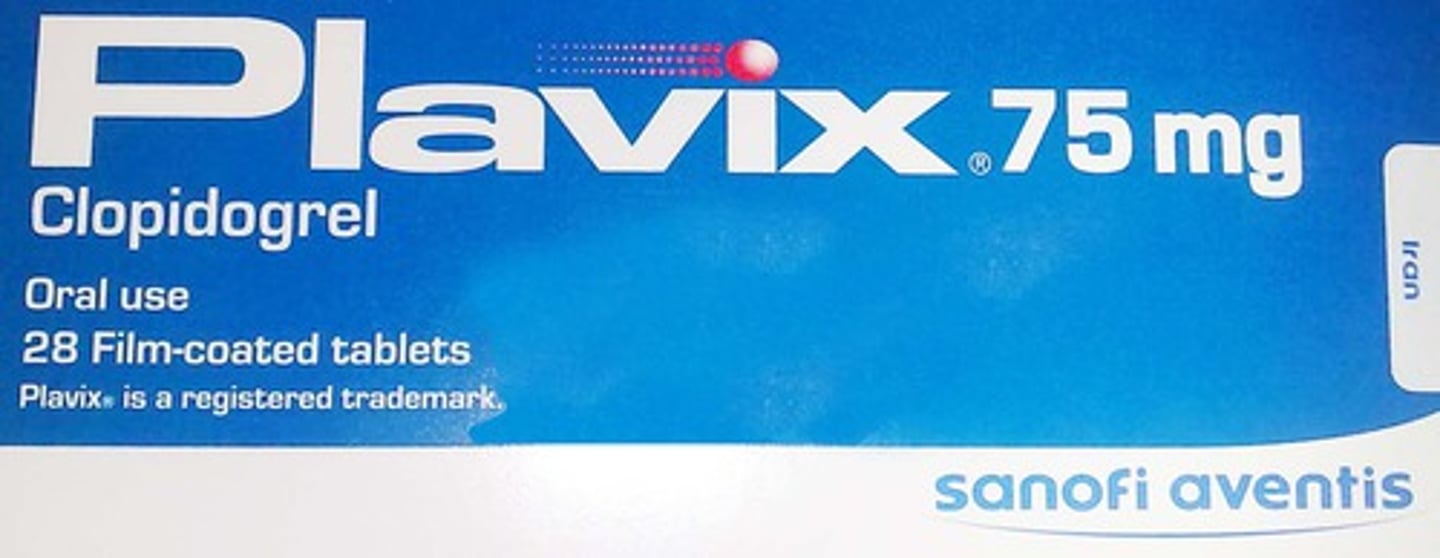 <p>Plavix</p><p>(Antiplatelet Blood Thinner)</p>