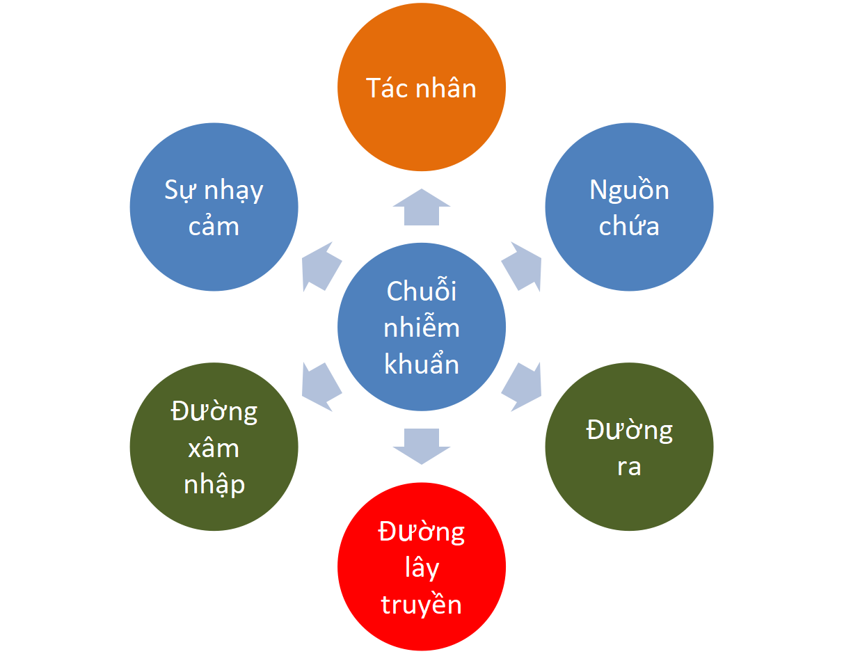 <p></p>