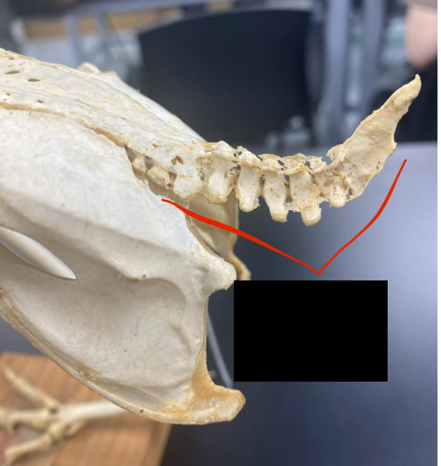 <p>What part is this </p>