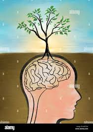 <p>What does <strong>ingrained </strong>mean?</p>