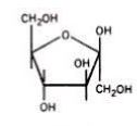 <p><span>Name this sugar....</span></p>