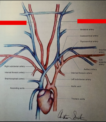 left/right ___________