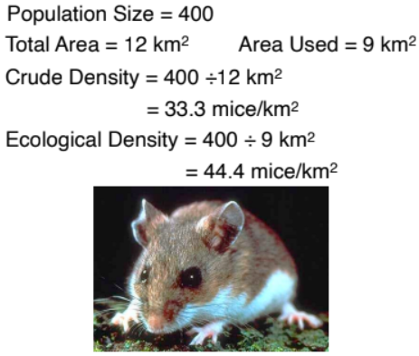 <p>number of individuals of species per unit area or volume</p>