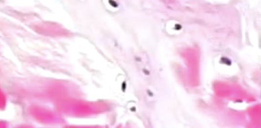 <p>what is this?</p>