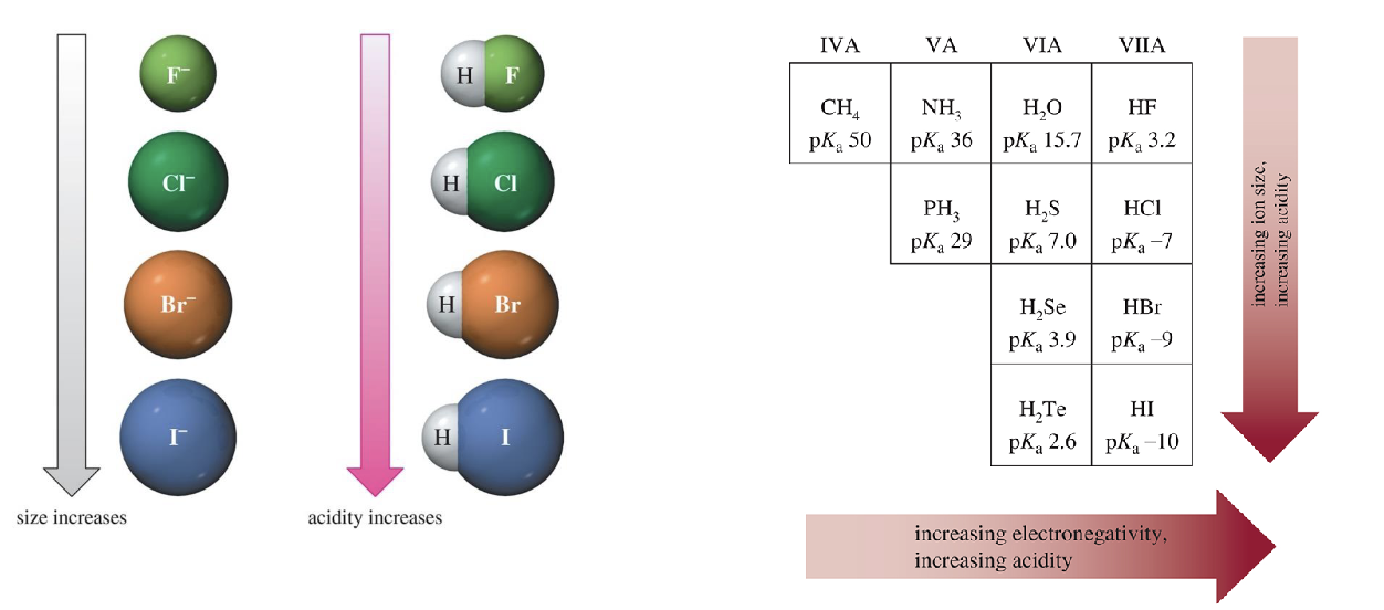 <p>Negative charges of an anion are more stable on larger atoms</p><p>Acidity increases down the column on periodic table</p>