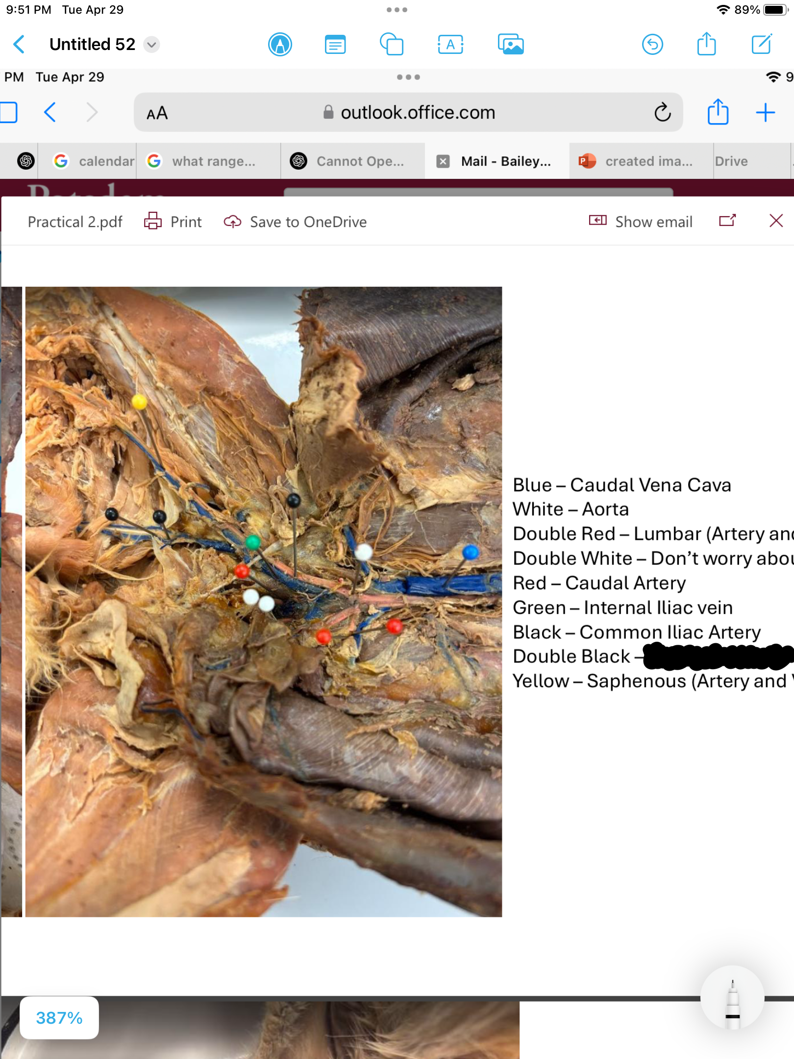 <p>label the area</p>