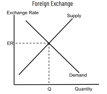 <p>Y - Exchange Rate (ER)<br>X - Quantity (Q)</p><p>Demand<br>Supply</p>