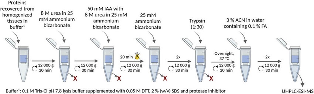 <p>FASP (Filter-Aided Sample Preparation) is a filtration-based method that allows for the <strong>digestion of proteins</strong> into peptides while simultaneously <strong>removing contaminants</strong> like salts, detergents, and other impurities. It utilizes a <strong>centrifugal filter</strong> (with a specific molecular weight cut-off) to <strong>separate larger molecules</strong> (such as undigested proteins) from smaller peptides.</p>