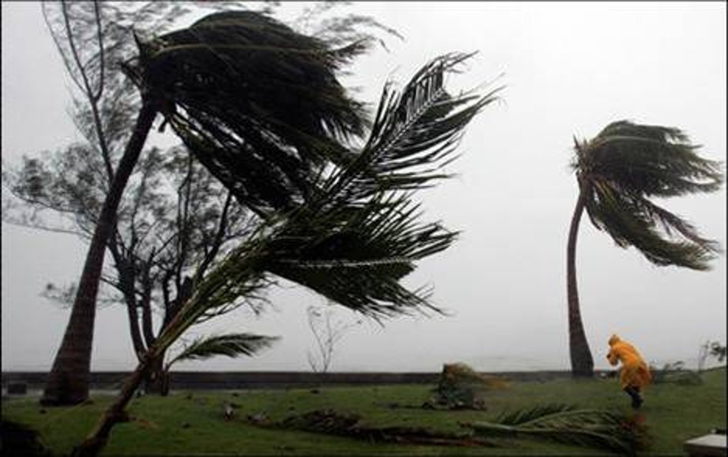 <p>= a continuous constant blast of air<br>... often exceed 150km/h<br><br>· Causes structural damage to roads, bridges, buildings, etc. (may even collapse)<br><br>· Bring down electricity power lines and devastate agricultural areas<br><br>· Flying debris is a serious threat to human life</p>