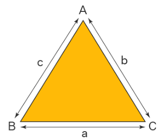 <p>The three line segments that form the triangle.</p>
