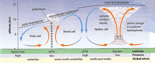 <p>explains the distribution of precipitation and temperature and how they influence structure and relative productivity of different terrestrial biomes</p>