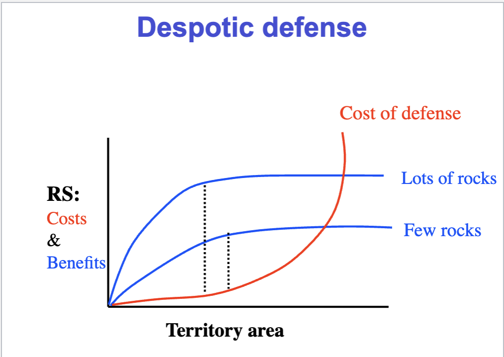 <p>Economics of Defense</p>