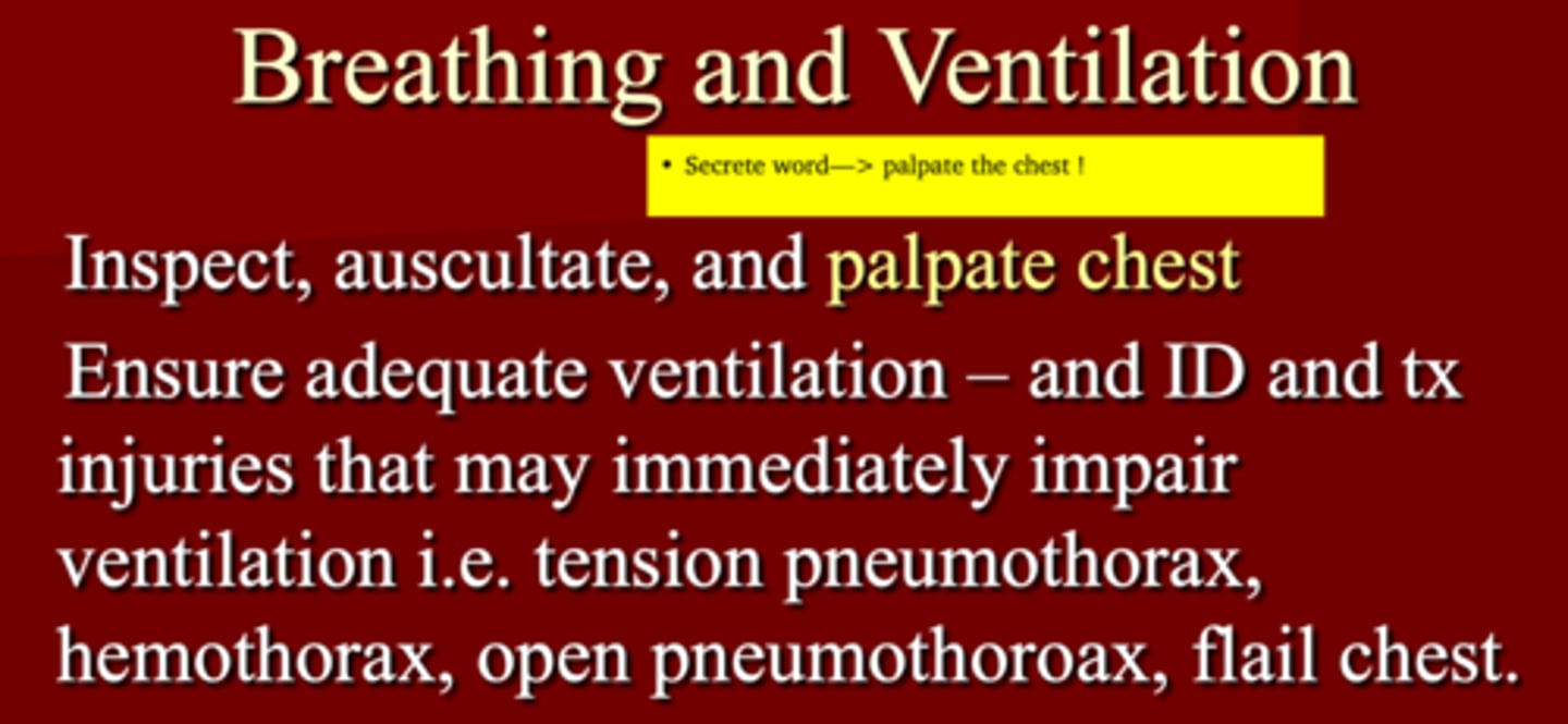 <p>1. Tension pneumothorax</p><p>2. Hemothorax</p><p>3. Open pneumothorax (shot/stabbed: sucking chest wound)</p><p>4. Flail chest</p>