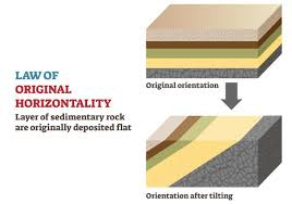 <ol><li><p><span style="background-color: transparent;"><span>Layers of sediment are deposited horizontally under gravity</span></span></p></li><li><p><span style="background-color: transparent;"><span>Sedimentary rocks left undisturbed will remain horizontal</span></span></p></li><li><p><span style="background-color: transparent;"><span>Layers have been </span><em><span>tilted </span></em><span>or </span><em><span>deformed </span></em><span>did so </span><strong><span>after </span></strong><span>formation</span></span></p></li></ol><p></p>
