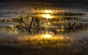 <p><span><span>lokva</span></span></p>