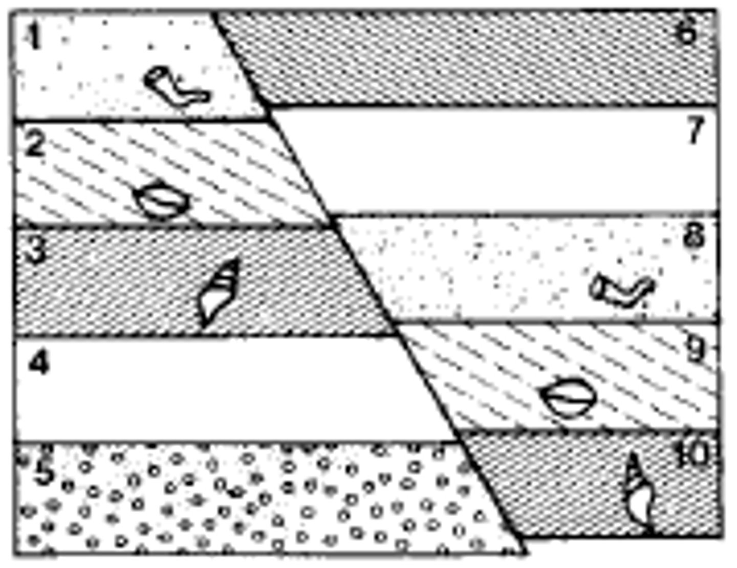 <p>What number is the oldest layer?</p><p>A. 4 B. 10 C. 9 D. 5</p>