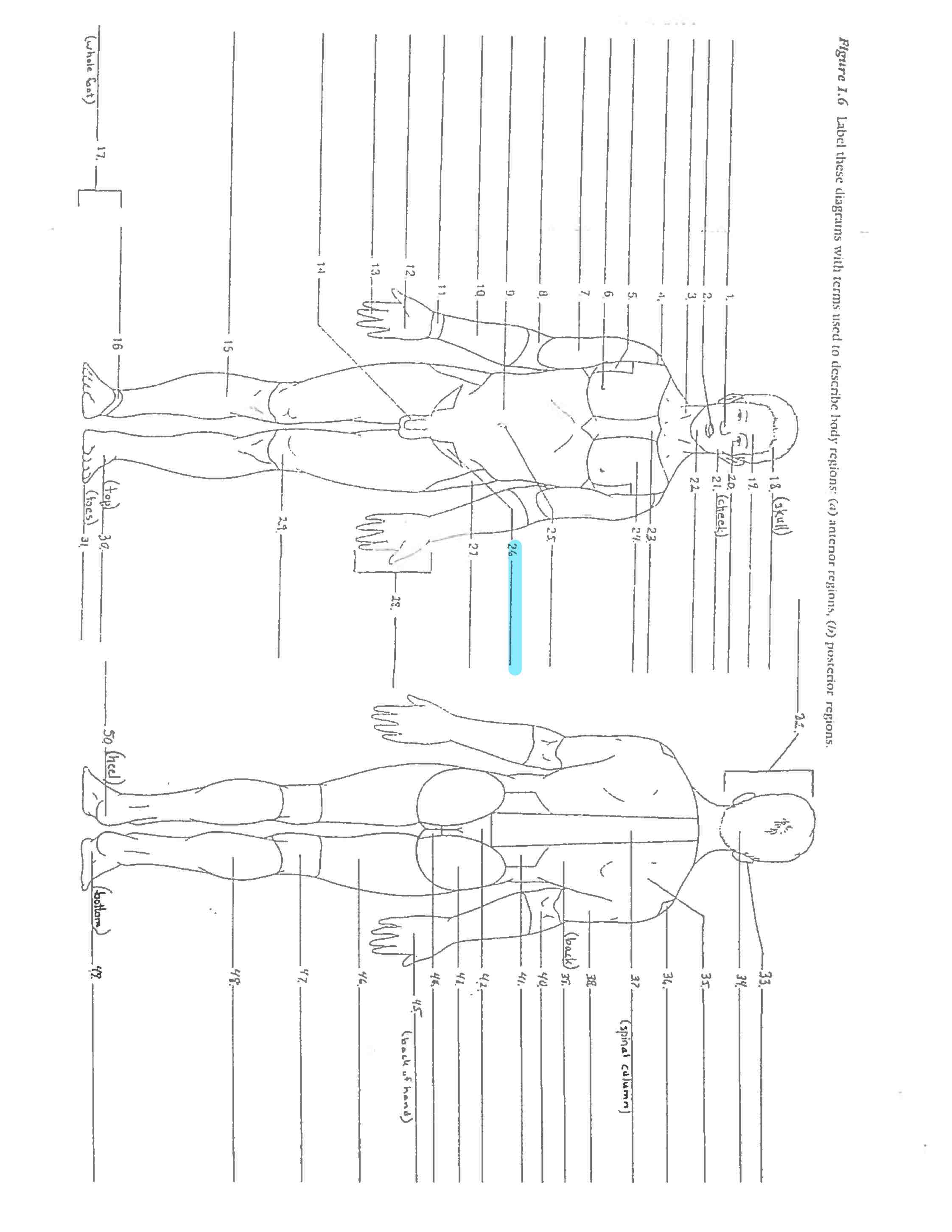 <p>Line 26</p>