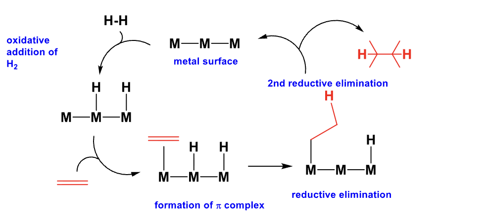 <p>All catalytic mechanisms can be drawn as a cycle. </p>