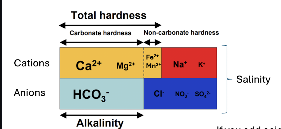 <p>when limestone and dolomite (carbonate bedrock) is dissolved</p><p>concentration of Ca2+ and Mg2+</p><p>buildups of carbonates in water systems, effectiveness of detergents, higher can reduce toxicity of metals to aquatic life</p><p>can be reported in terms of HCO3-</p><p>will not change w acids</p>