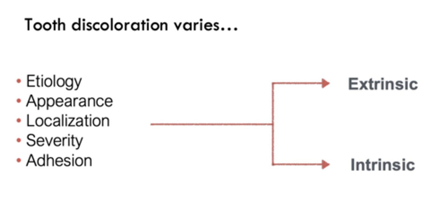 <p>- Etiology</p><p>- Appearance</p><p>- Localization</p><p>- Severity</p><p>- Adhesion</p>