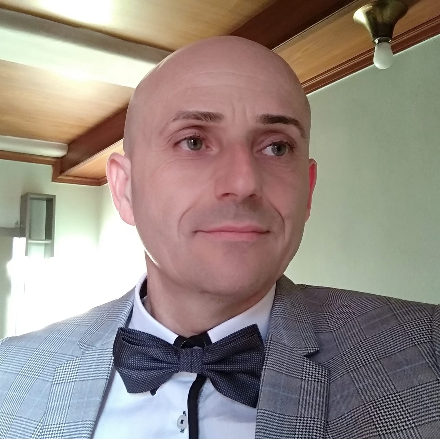 <p>Crumple zones</p>