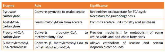 <p>• Coenzyme roles: holocarboxylase</p><p>• Genetic mutation → holocarboxylase synthetase </p><p>• Vomiting, lethargy, hypotonia, acidosis, and seizures </p><p>• Treatment: 10 - 200 mg oral biotin daily</p><p>• Non-coenzyme roles • Biotinylation </p><p>• Histones and nonhistone proteins </p><p>• Biotinylation of histones allow transcription factors to affect gene expression</p>
