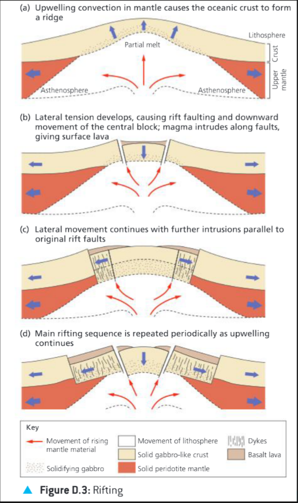 <p>Rifting is a geological process where the Earth's crust and lithosphere split apart, creating a rift or gap. This process often occurs in areas where tectonic plates are moving away from each other, leading to the formation of new ocean basins or rift valleys on land. Rifting is a key component of plate tectonics and can result in the formation of volcanoes, earthquakes, and the separation of continents.</p><p>—Page 165 workbook— </p>