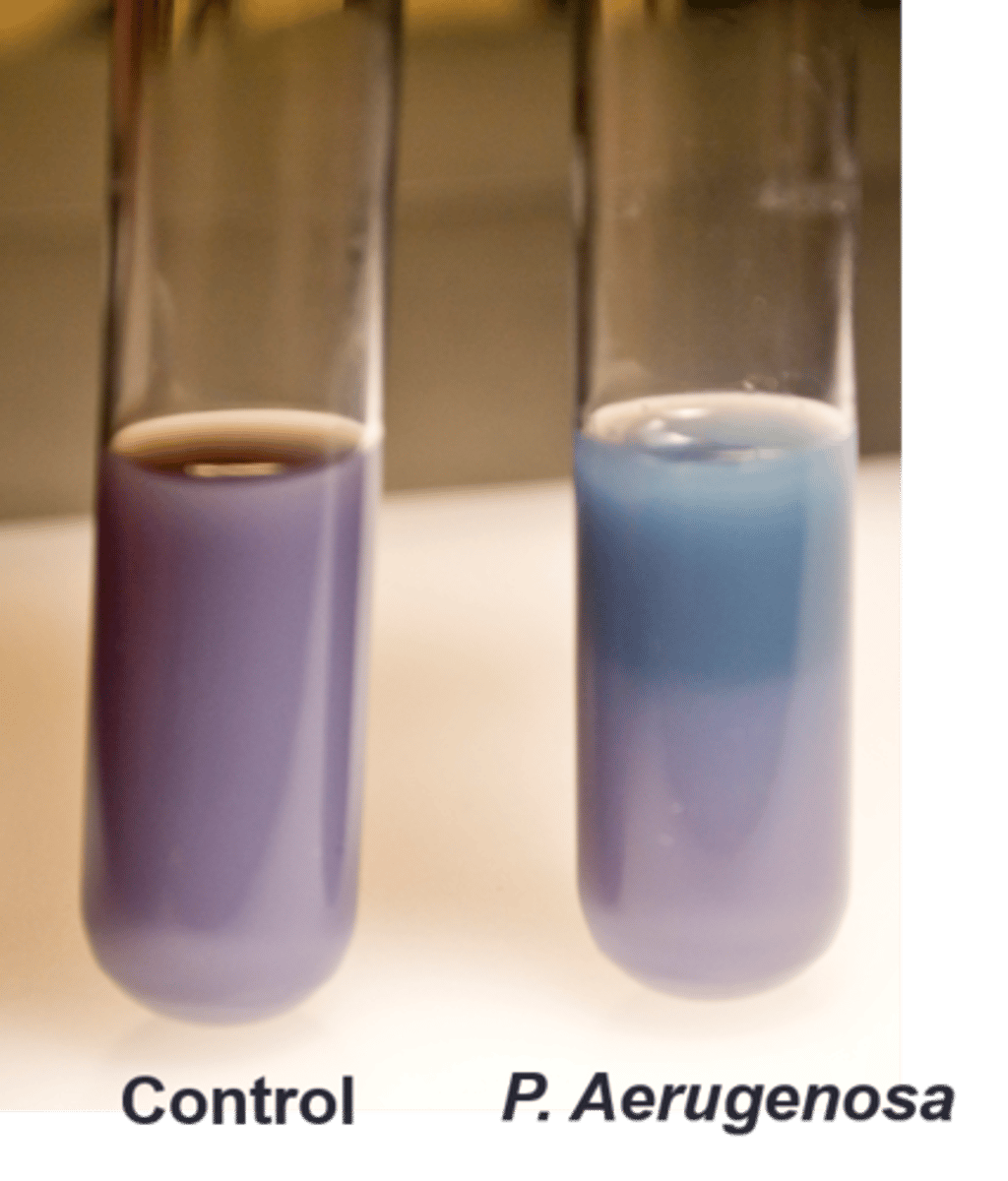 <p>This indicates a(n)</p>