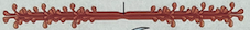 <p>Is this a thin (actin) or thick (myosin) filament? </p>