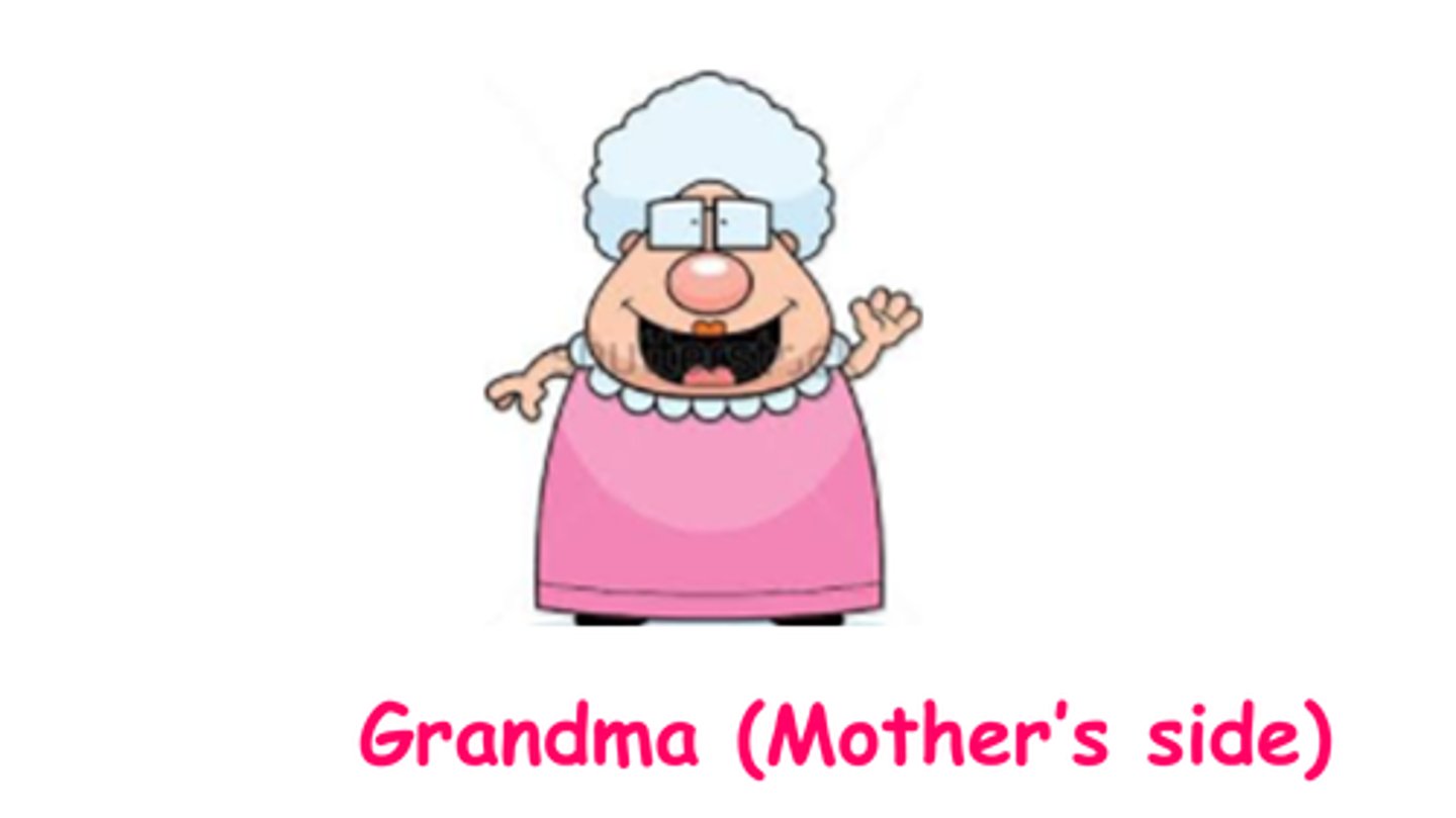 <p>maternal grandmother</p>