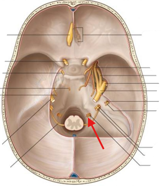 <p>What is this structure?</p>